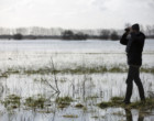Paysages du marais, à la rencontre des oiseaux