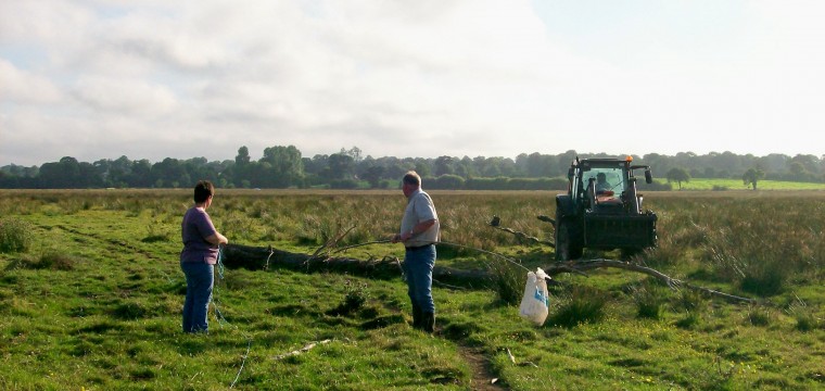 Découpage des parcelles de jonc dans le marais