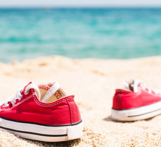 Vacances d&rsquo;été à la Maison des Jeunes