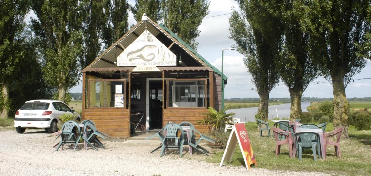 Le bar de l’anguille