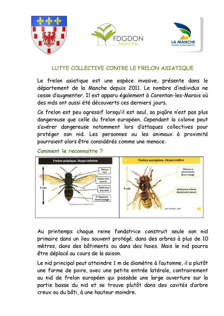 Frelon asiatique contenu_Page_1