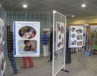 IMG_1095