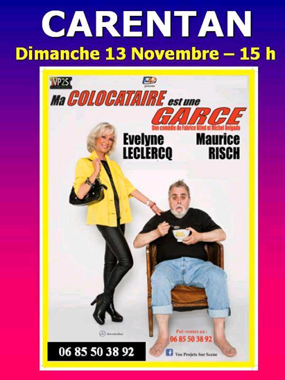 Affiche ma colocataire est une garce