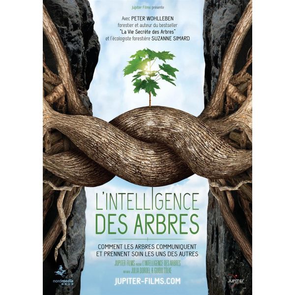 l-intelligence-des-arbres-68816-600-600-F