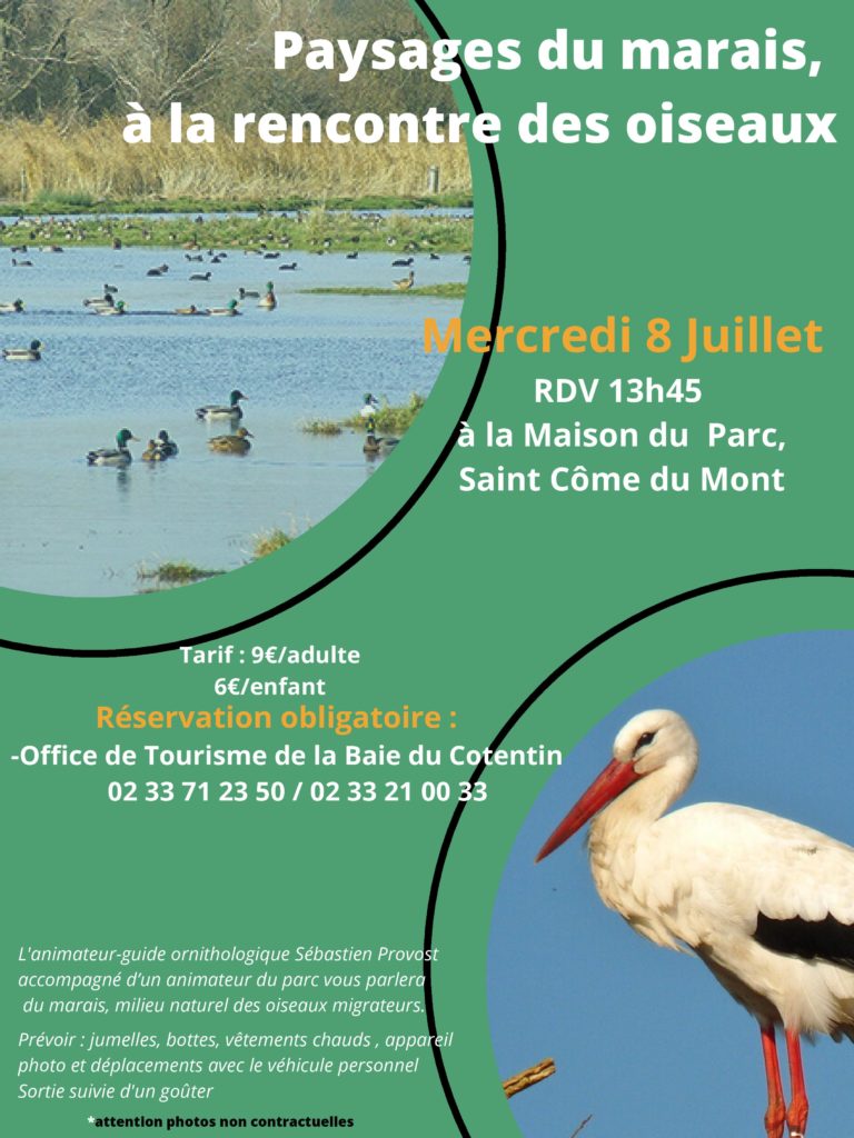 Sortie Birding 8 juillet-page-001