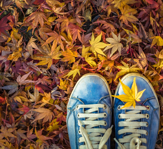 Vacances d’automne
